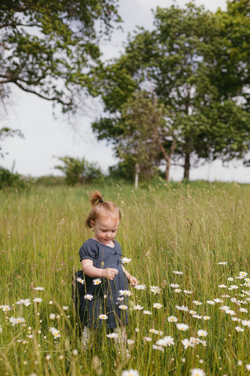 Family of four crouching together in a wildflower meadow, two young children picking daisies