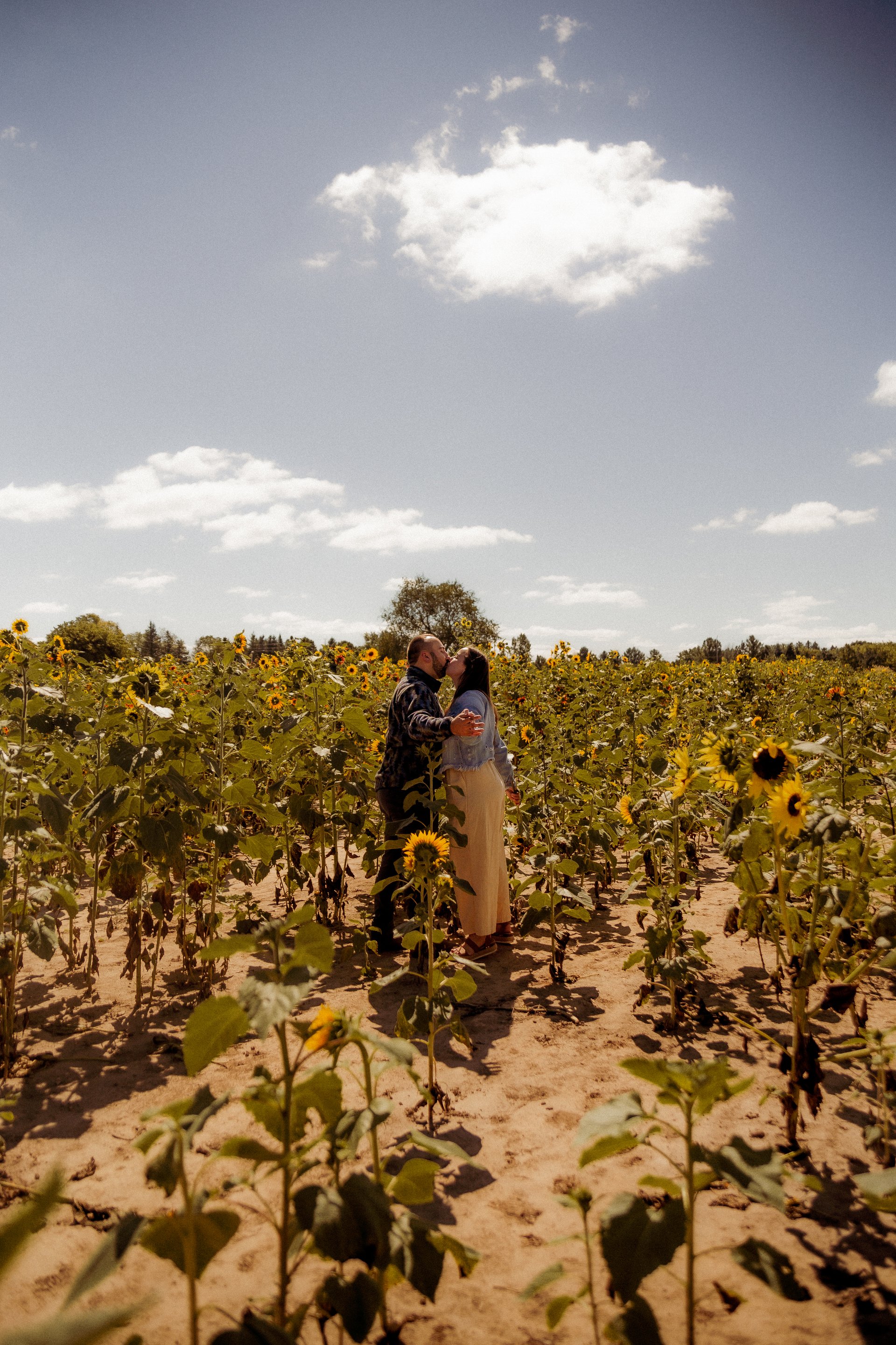 Couple embracing and kissing in a sunflower field under a wide open sky